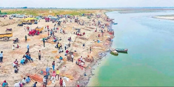 COVID19 DEAD BODY HUB