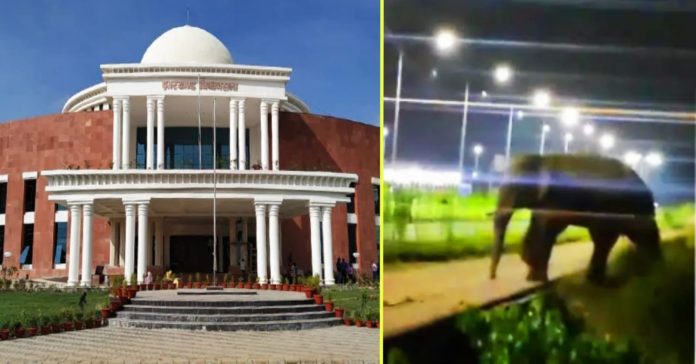 jharkhand assembly