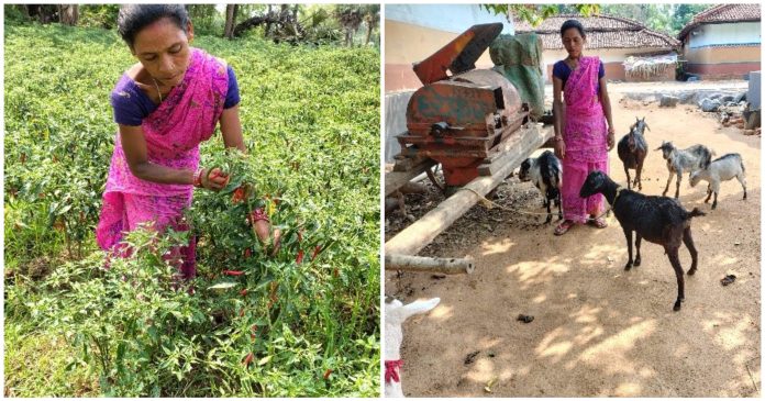 Phool Jhano Ashirwad Abhiyan