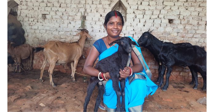 Lakhpati didi Lakhpati didi