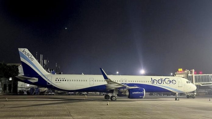 indigo indigo