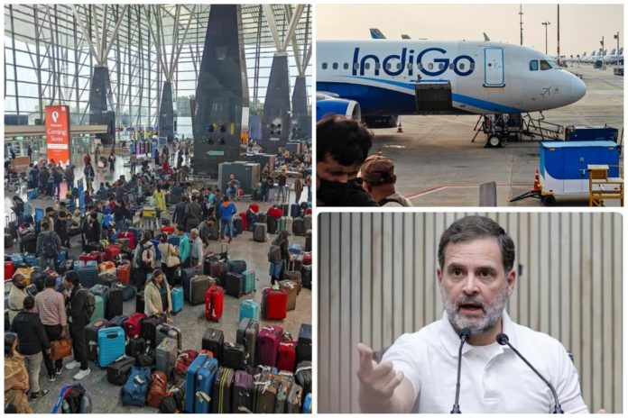 indigo indigo