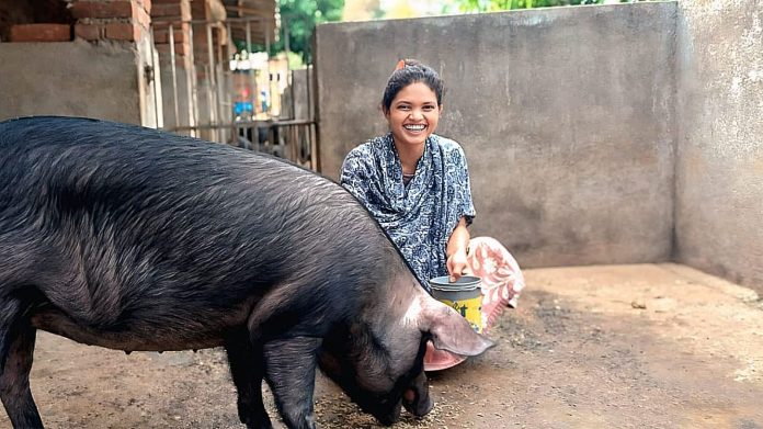 lakhpati didi