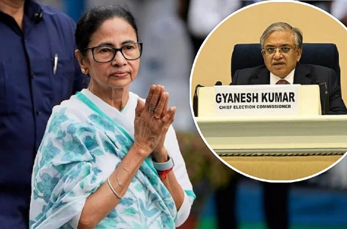 mamta banerji mamta banerji
