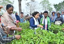 असम:कल्पना सोरेन ने चाय बागानों के श्रमिकों से माँगा भूबेन मुरारी का समर्थन kalpana soren