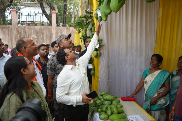 hazaribagh dc hazaribagh dc