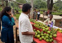 जोन्हा फॉल पहुंचे सीएम हेमंत सोरेन, बोले-झारखंड प्रकृति का अनुपम उपहार hemant soren
