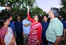 बिरसा हरित ग्राम योजना से ग्रामीण अर्थव्यवस्था हो रही मजबूत,आगे फूड प्रोसेसिंग यूनिट स्थापित कराने का प्रयास होगा: कल्पना सोरेन kalpana soren