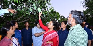 बिरसा हरित ग्राम योजना से ग्रामीण अर्थव्यवस्था हो रही मजबूत,आगे फूड प्रोसेसिंग यूनिट स्थापित कराने का प्रयास होगा: कल्पना सोरेन kalpana soren