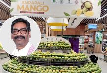 देवघर से दुबई तक ‘आम्रपाली’ की वैश्विक उड़ान! amrapali aam
