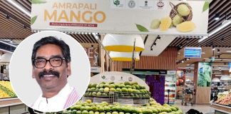 देवघर से दुबई तक ‘आम्रपाली’ की वैश्विक उड़ान! amrapali aam