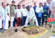 सीएम: पौधारोपण तक सीमित न रहकर पौधों की देखभाल और पोषण पर भी विशेष अभियान चलाना चाहिए hemant soren